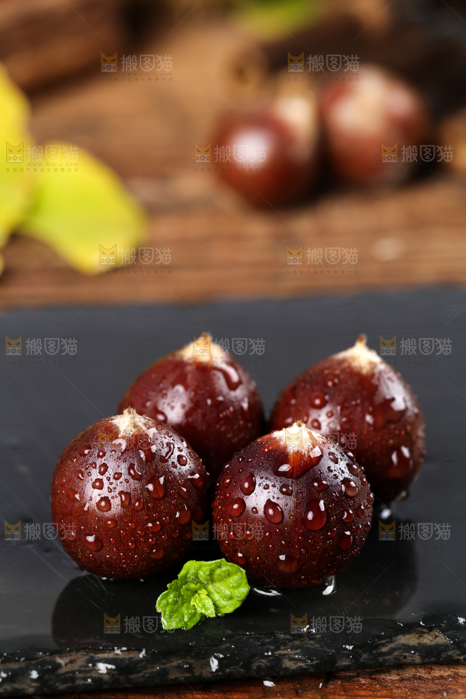 黑底上放着鲜锥栗