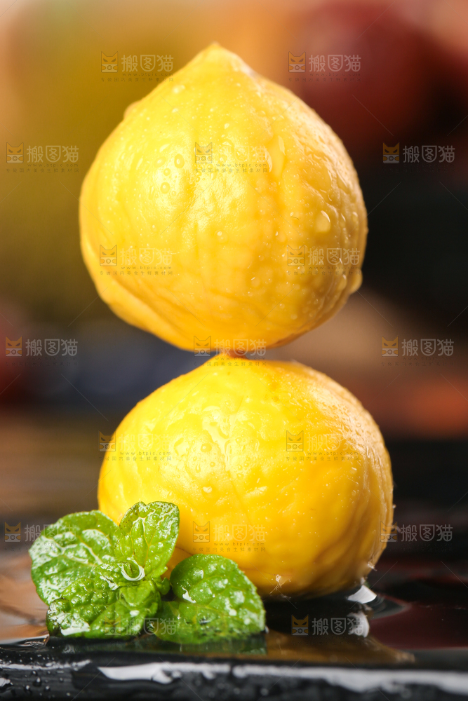 黑底上的锥栗仁