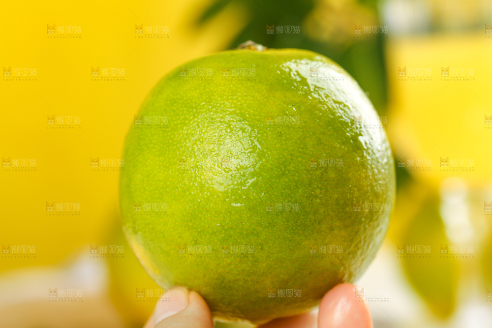 手上拿着夏橙