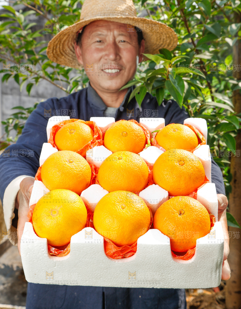 农民手上端着一箱爱媛果冻橙