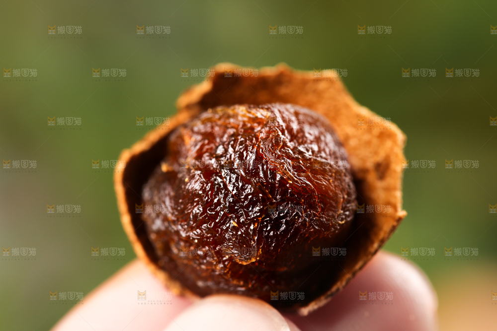 手上拿着干桂圆果肉