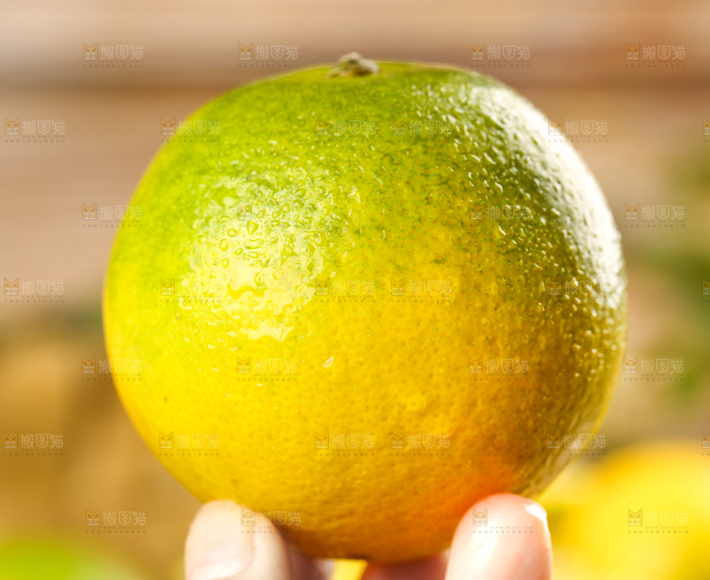 手上拿着秭归夏橙