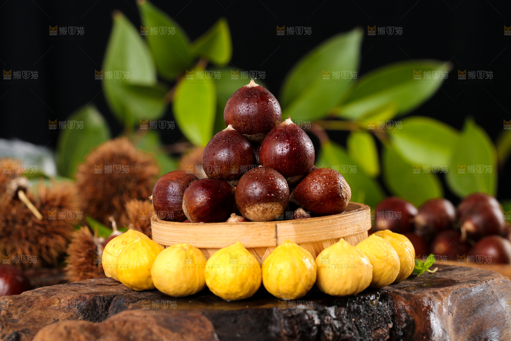 木底上篮子里的锥栗