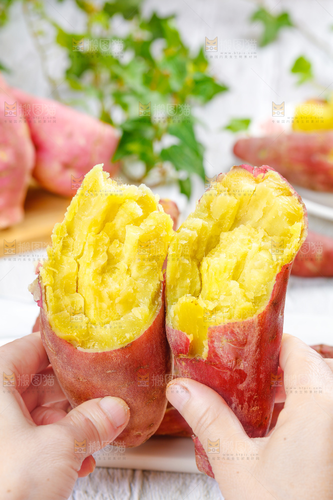 手上拿着山东板栗蜜薯