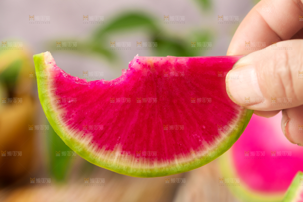 手里拿着红心萝卜