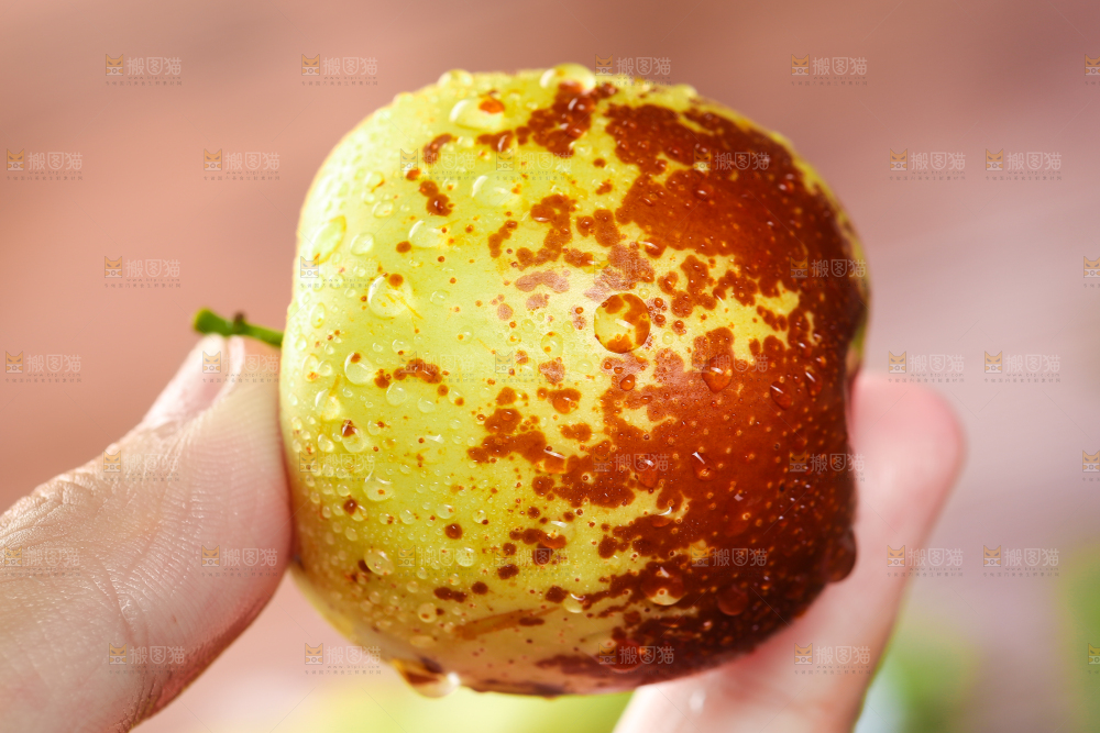 手里拿着冬枣