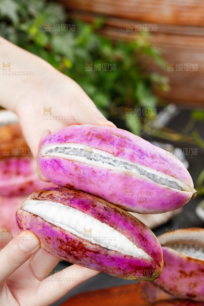 手里拿着紫皮八月瓜