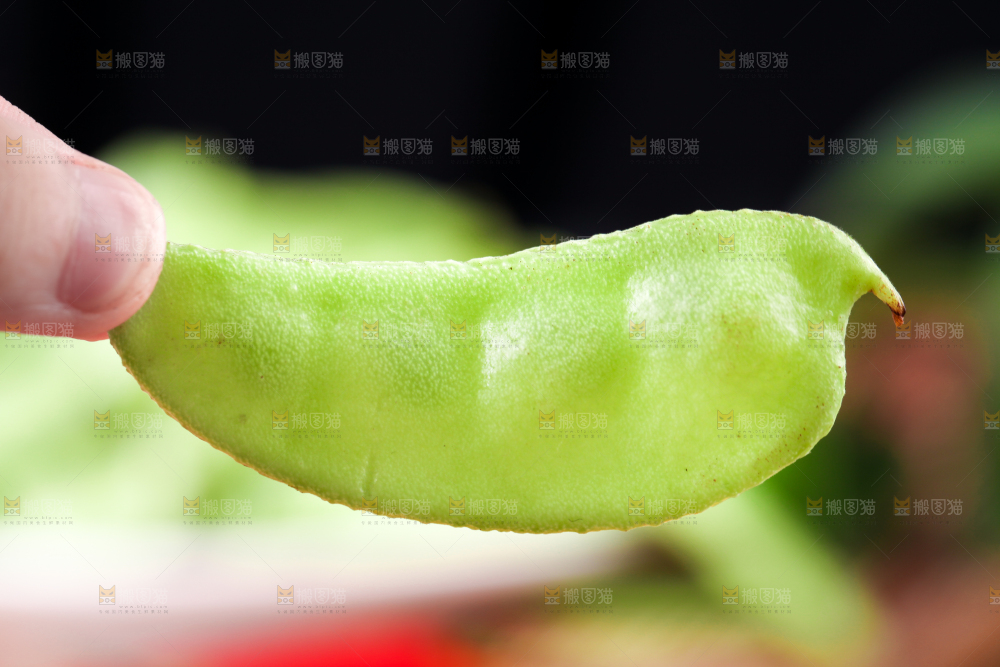 手里拿着扁豆角