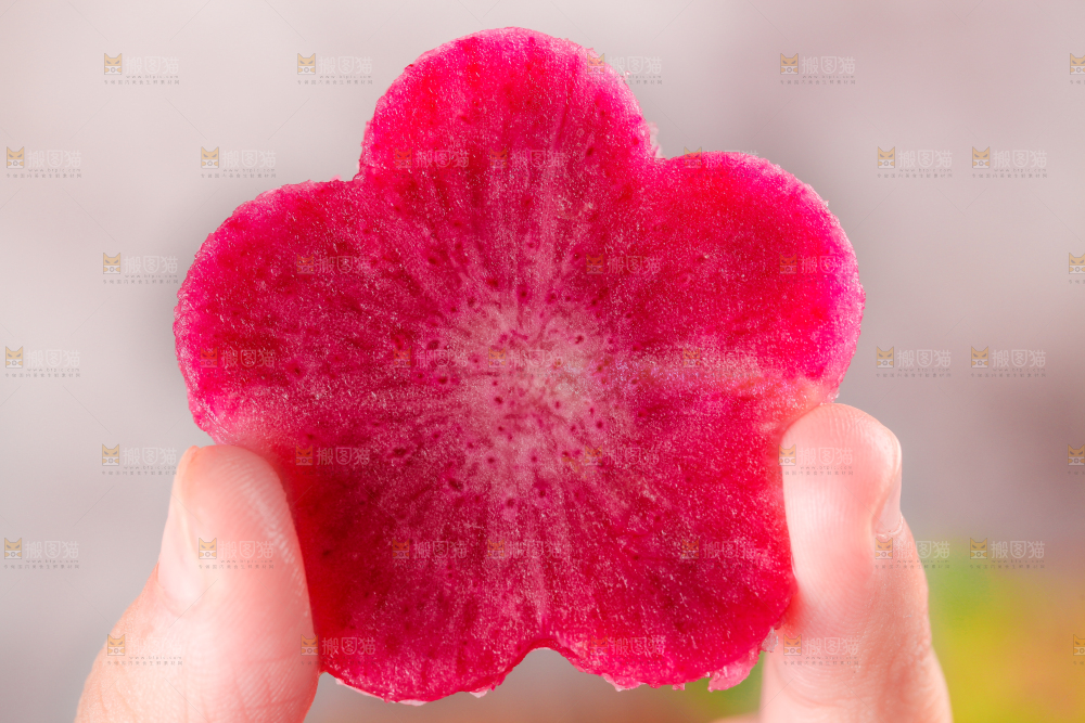 手里拿着红心萝卜