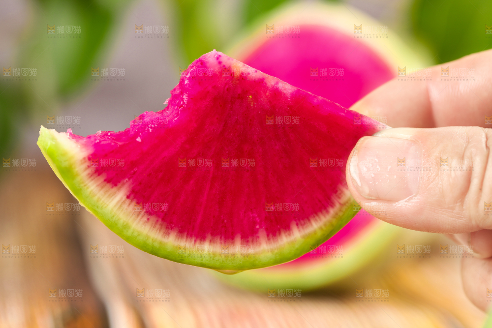 手里拿着红心萝卜
