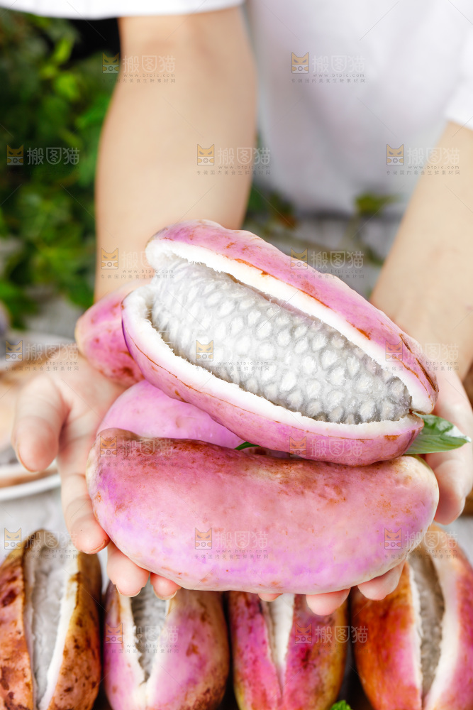 手里拿着八月瓜