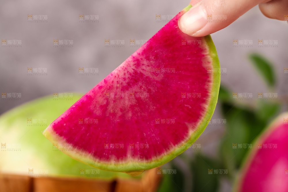 手里拿着红心萝卜
