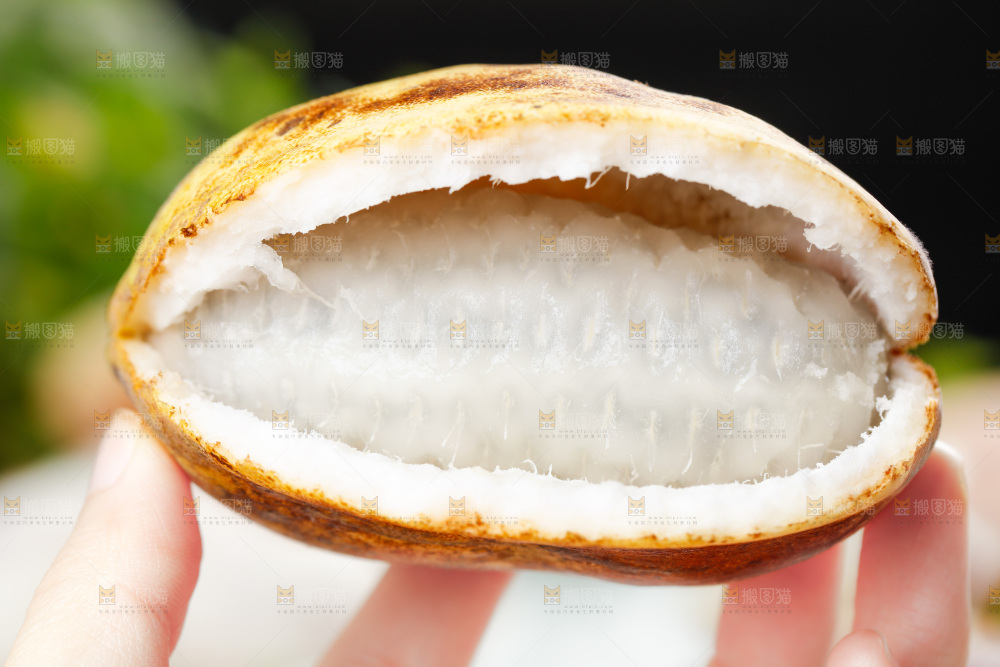 手里拿着八月瓜