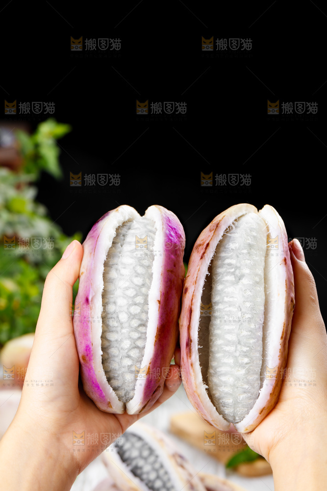 手里拿着八月瓜