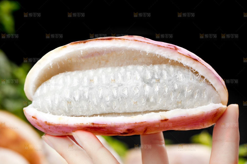 手里拿着八月瓜