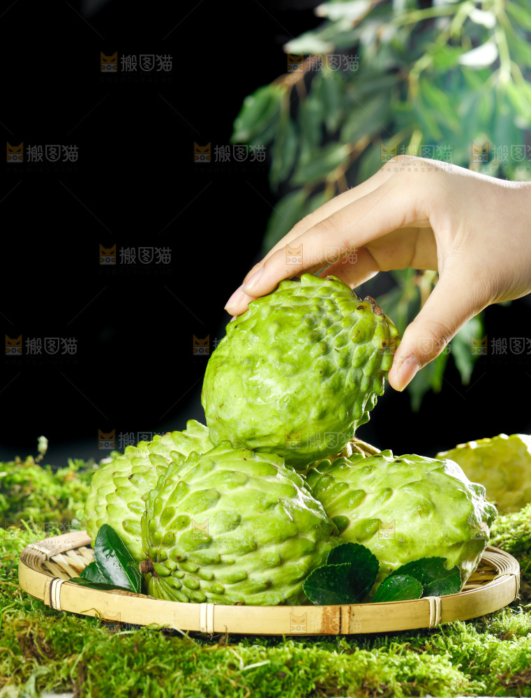 手里拿着释迦果