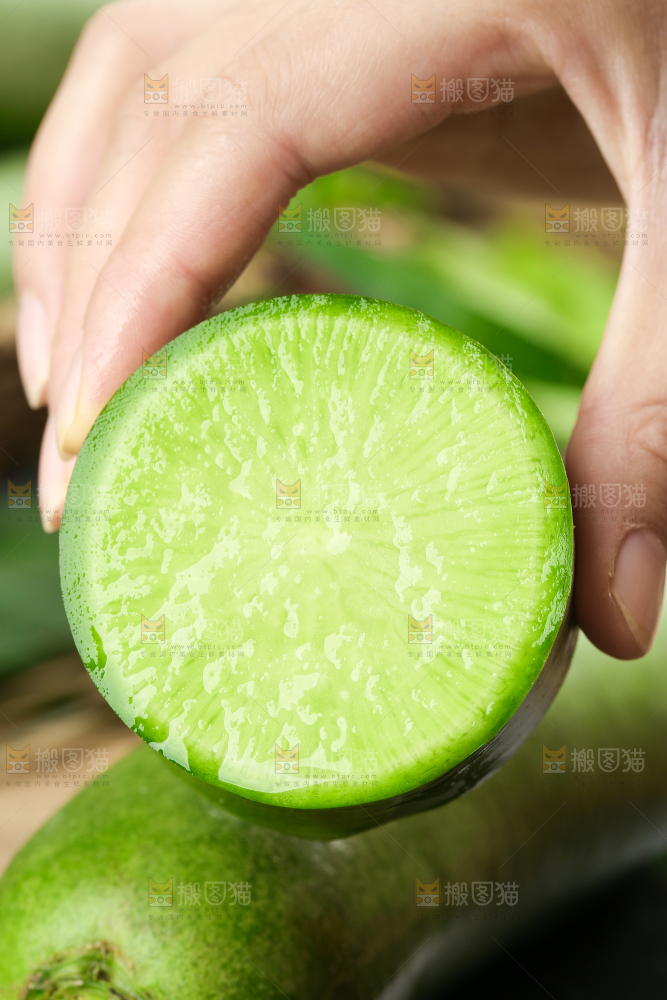 手里拿着绿心萝卜