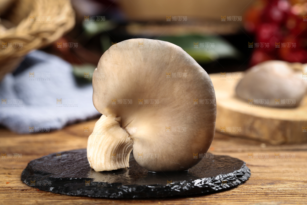 黑底上摆放着平菇