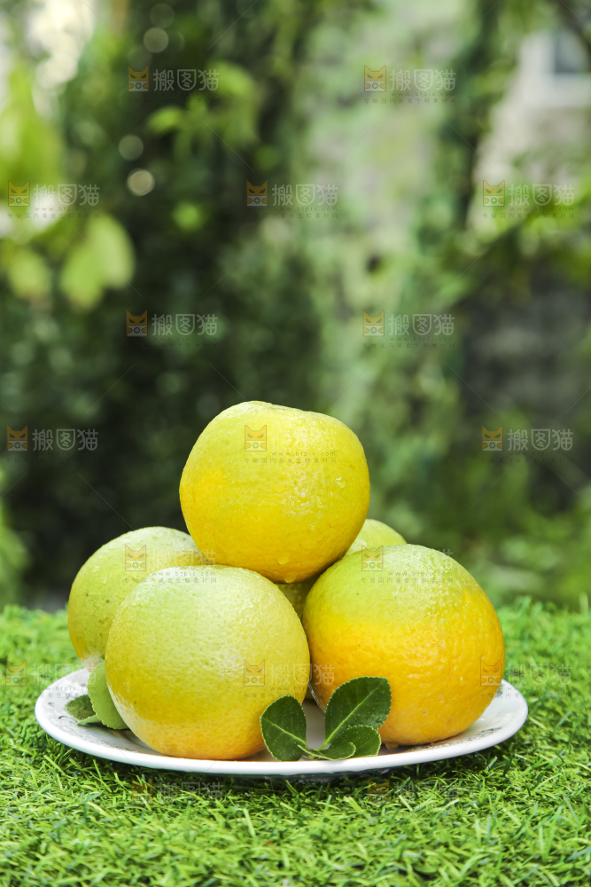 草地上放着一盘秭归夏橙