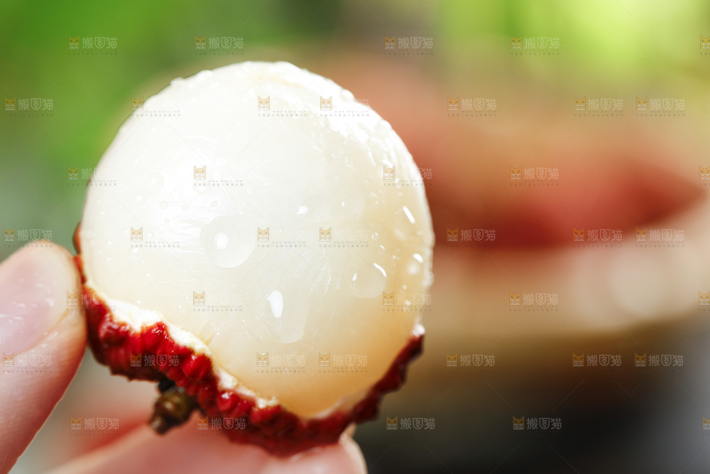 白糖罂荔枝