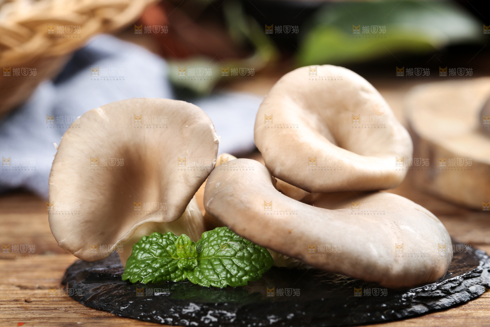 黑底上摆放着平菇