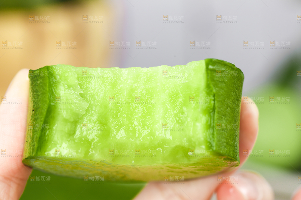 手里拿着青萝卜