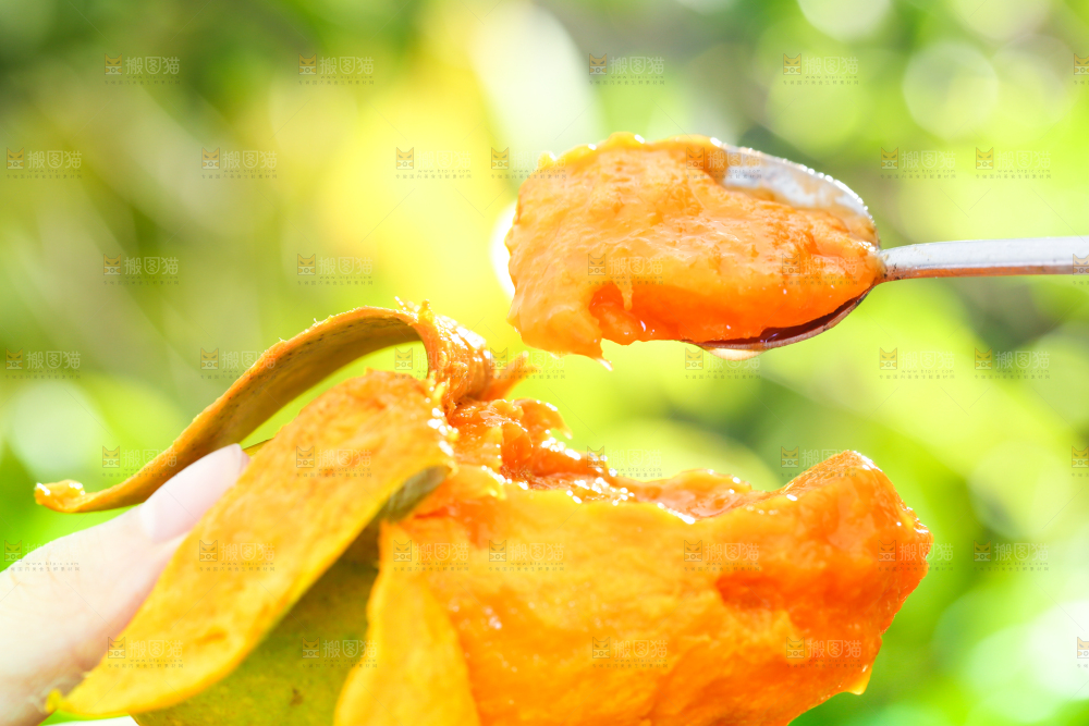 勺子里的椰香芒果肉
