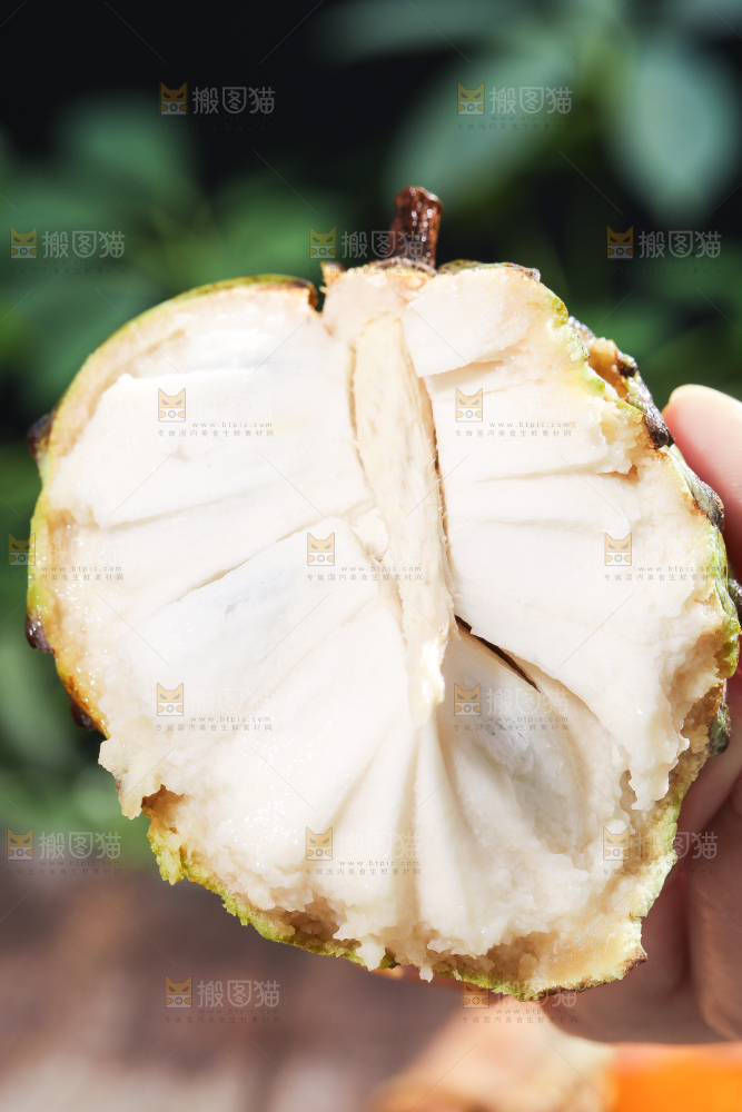 手里拿着释迦果