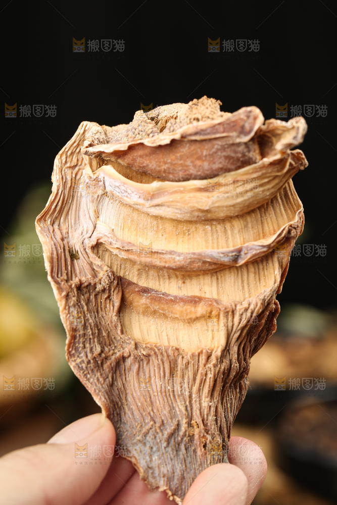 手里拿着冬笋干