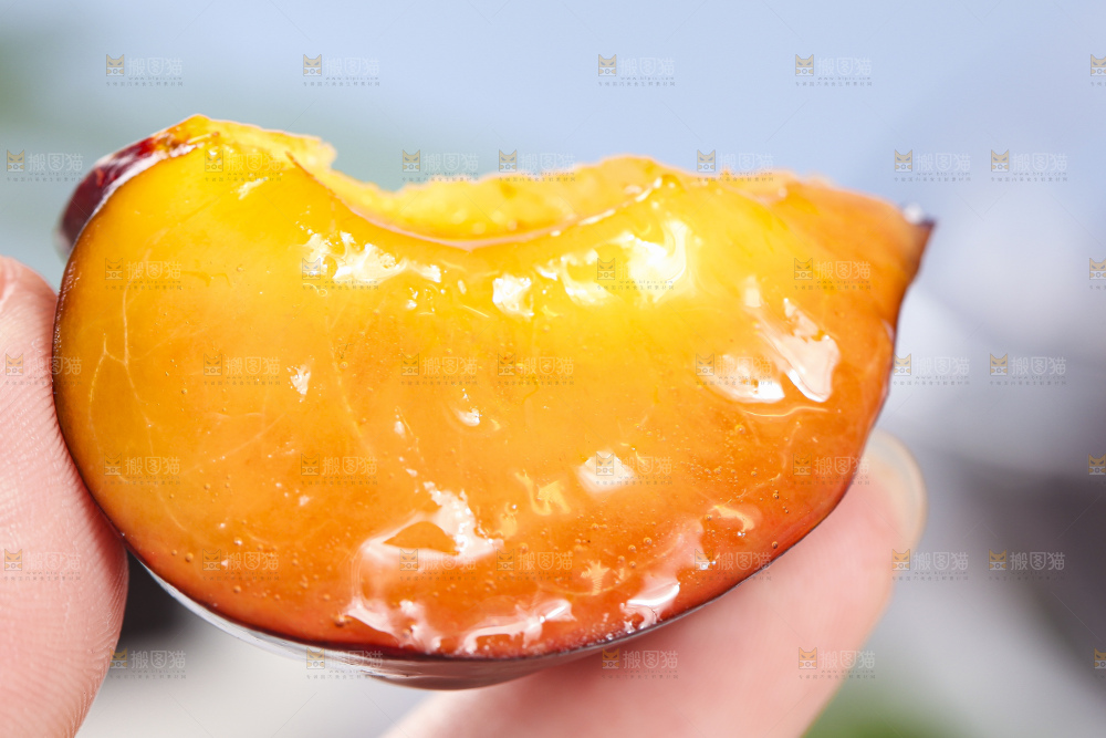 手拿掰开的黄肉黑布林