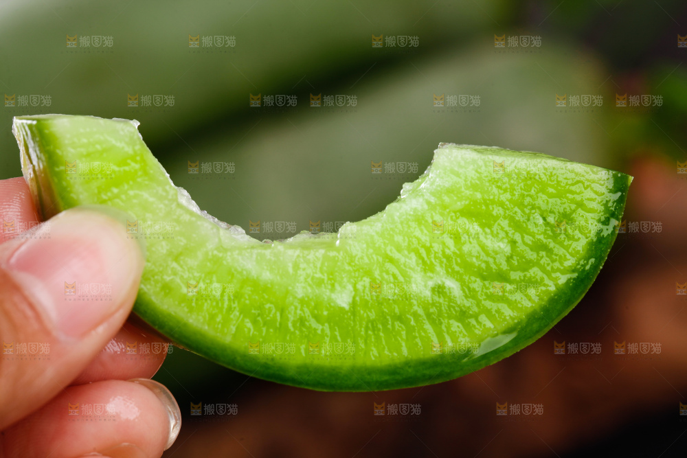 手里拿着青萝卜