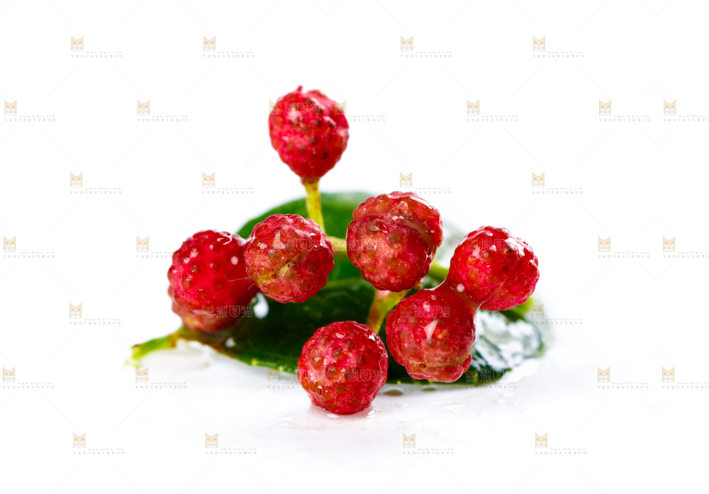白底上的新鲜花椒