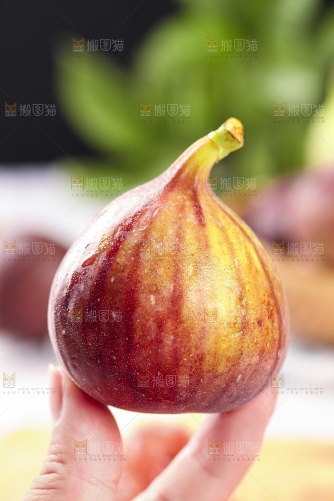 手拿紫皮无花果