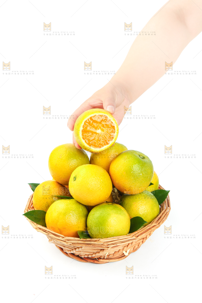 手拿秭归夏橙