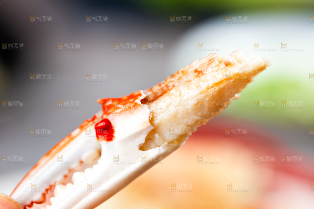 深底上的梭子蟹钳