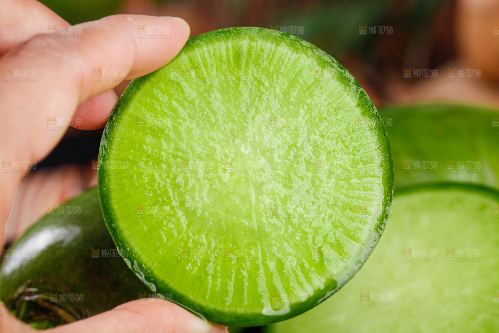 手里拿着萝卜