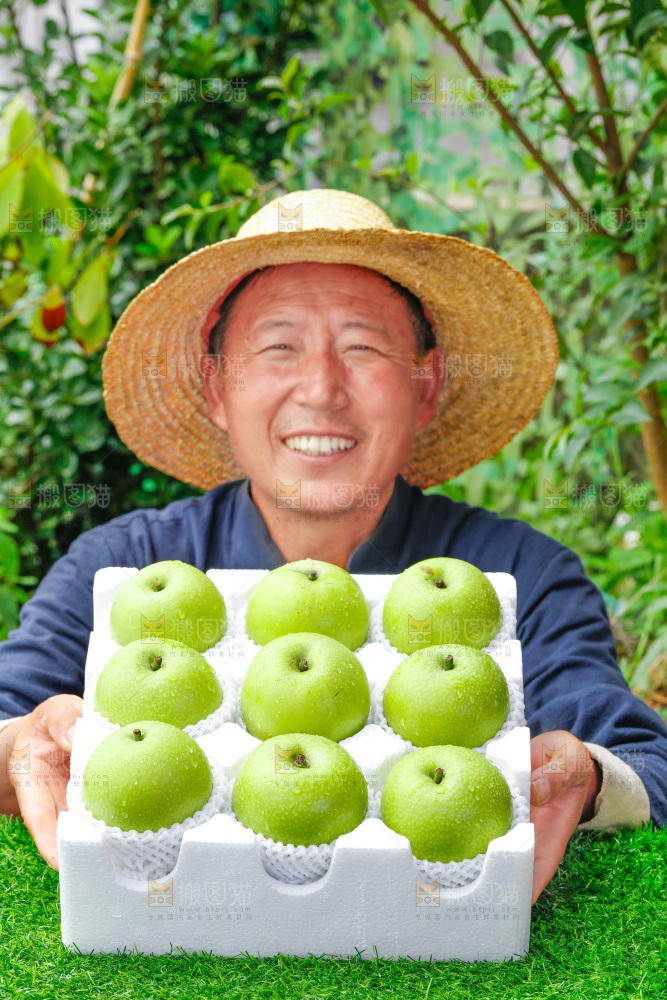 手拿一盒青翠冠梨