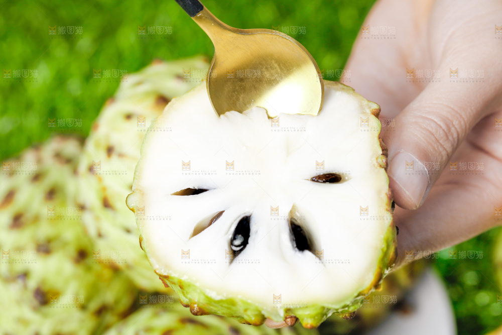 手里拿着释迦果