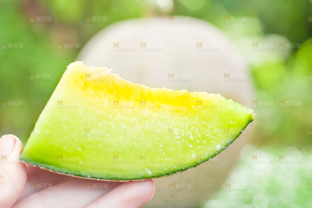 手拿切开的玫珑瓜