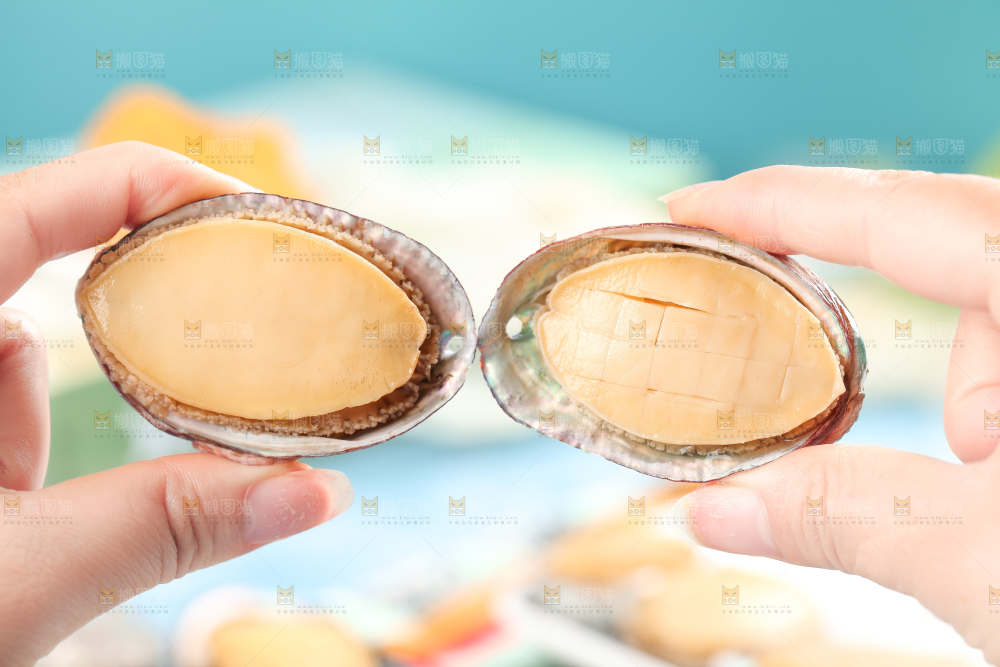 手拿鲍鱼
