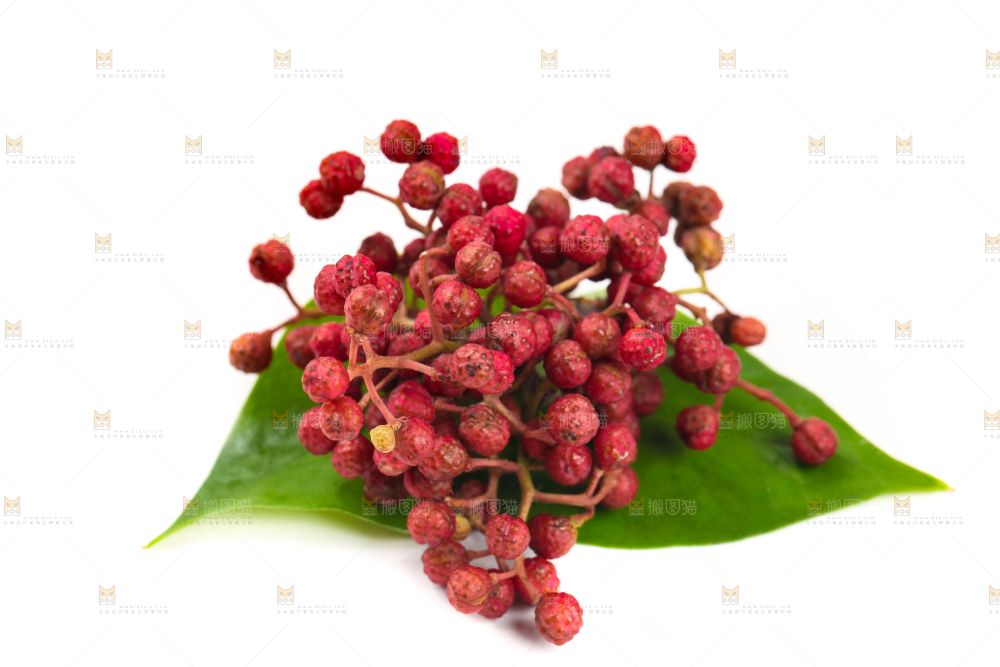 叶子上的新鲜花椒