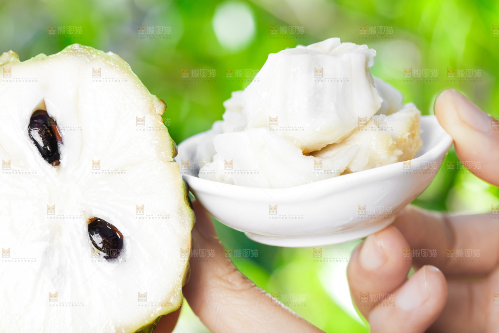 手里拿着释迦果