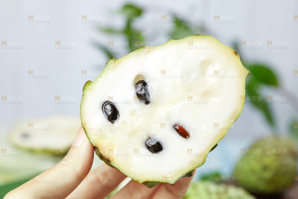 手里拿着释迦果