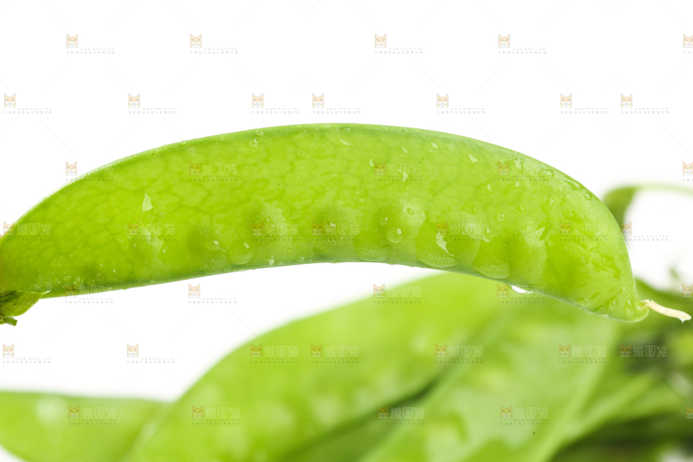 白底上摆放着豌豆荚