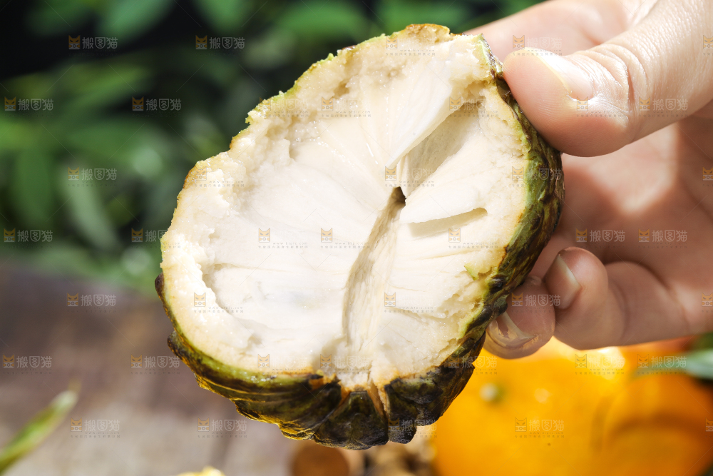手里拿着释迦果