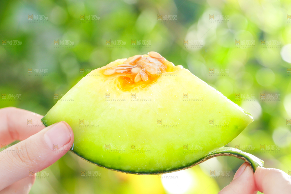 手拿切开的玫珑瓜