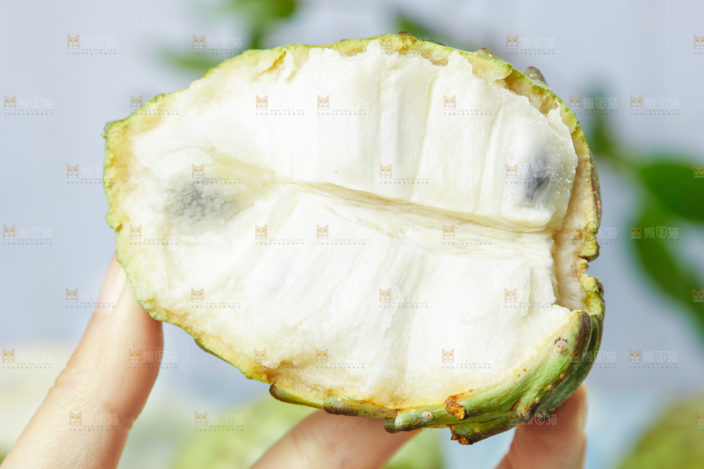 手里拿着释迦果