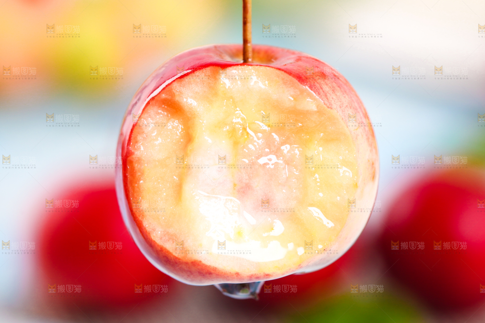 浅底上的东北海棠果