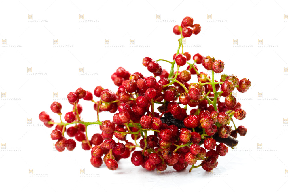 白底上的新鲜花椒