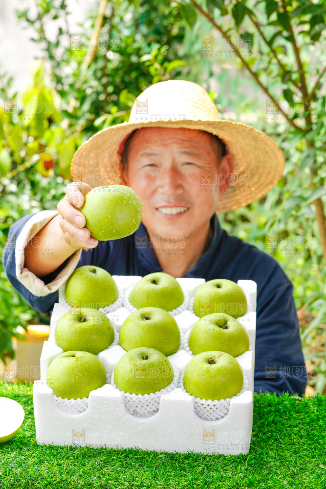 手拿青皮苹果梨